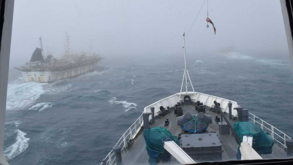 La pesca representa el 0,7% del PBI nacional. En los últimos años, la actividad dio muestras de un fuerte dinamismo: actualmente, ocupa el 8 puesto entre los complejos exportadores argentinos. Foto: Archivo DEF.