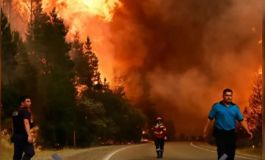 La UCR propuso incorporar el &lsquo;ecocidio' al Código Penal y denunció al Gobierno por subejecutar fondos