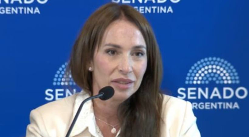 El pliego de Michelli: celebración forzada de Milei y alternativas para que no asuma