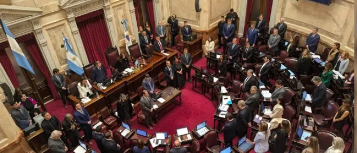 El Senado aprobó en general la reforma de la Ley de Salud Mental, que habilita internaciones involuntarias